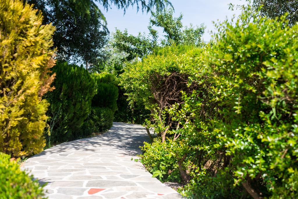 Anastasia Apartments สกาลา โปเตมิอัส ภายนอก รูปภาพ